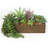 Anre Succulent Arrangement