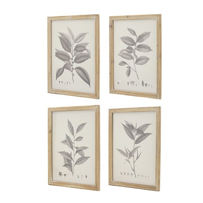 15.7X20.7" Botanical Wall Décor, Home Decor For Living Room, Dining Room, Bedroom, Hallway, Set Of 4