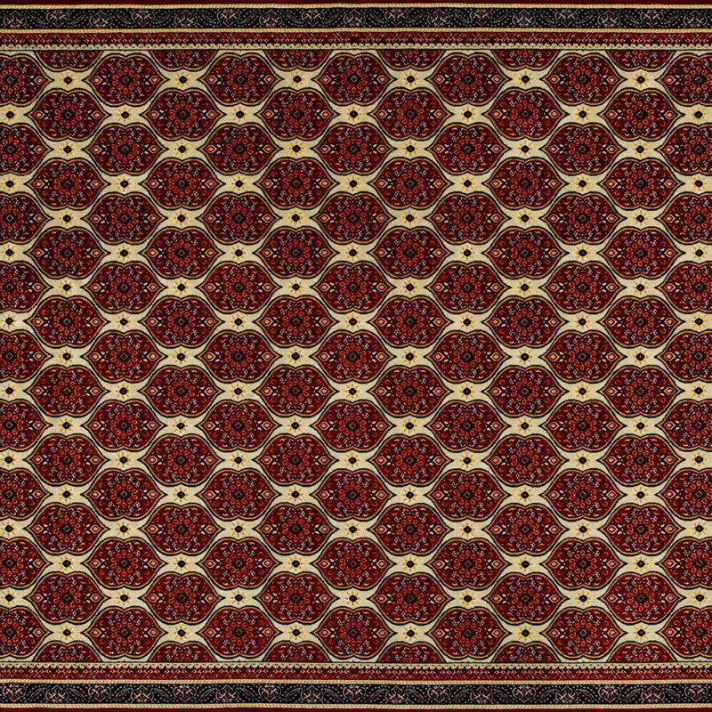 Oriental Area Rug, Rectangle 195 x 290cm