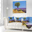 Coussin Landscape-345812322-345812326