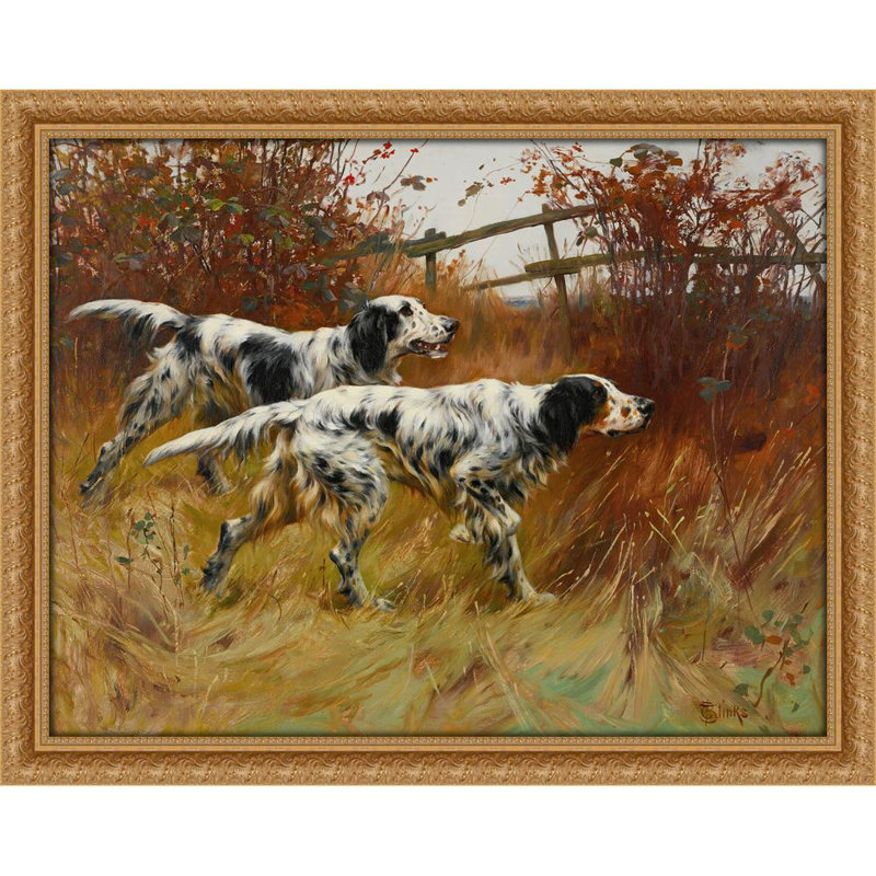 English Setters