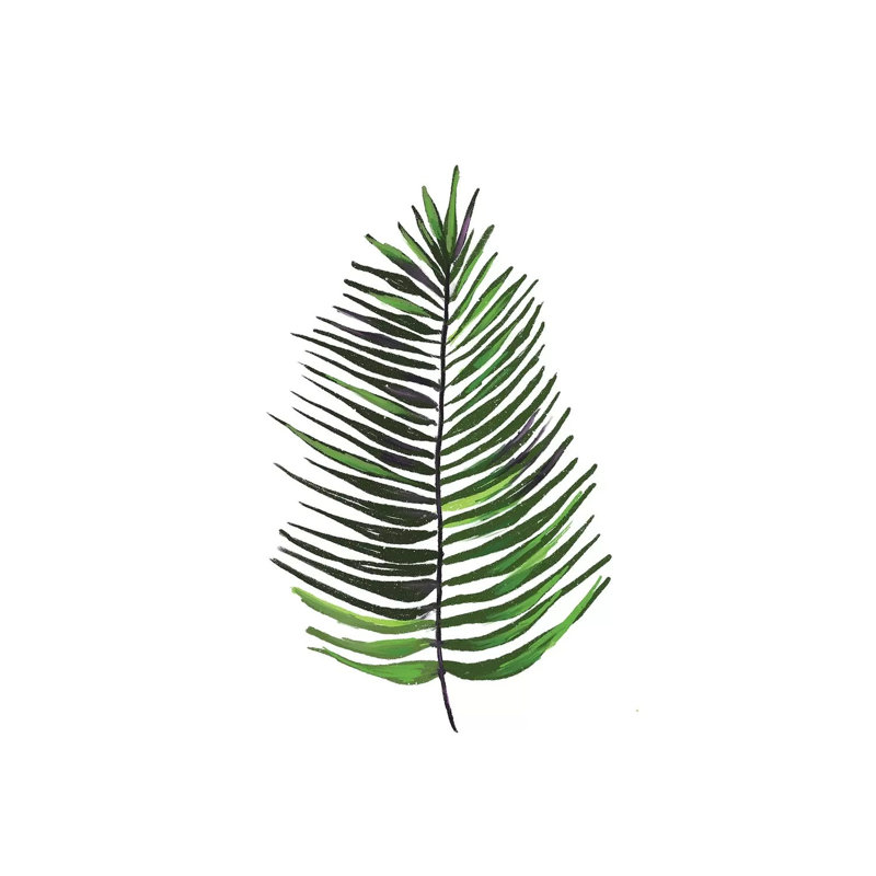 Leaves Of The Tropics IV by Hartworks - Wrapped Canvas Painting, 30.48 cm H x 30.48 cm W