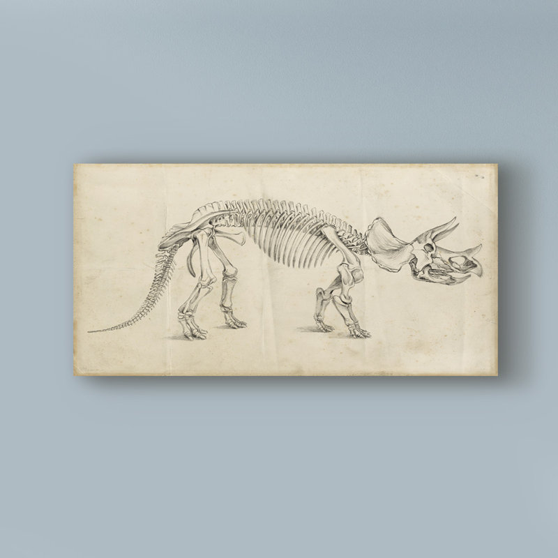 « dinosaur study ii », reproduction d’art sur toile tendue, H 16 po x l 32 po x P 2 po