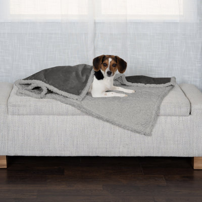 Snuggly & Warm Soft-Edge Warming Waterproof Blanket