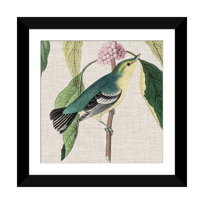 « aviaire crop iv », reproduction d’impression sur toile, H 16 po x l 16 po x P 1 po, Papier d'art encadré noir, Blanc