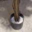Fire Retardant Artificial Tree 180cm Faux Palm Tree in Pot Liner