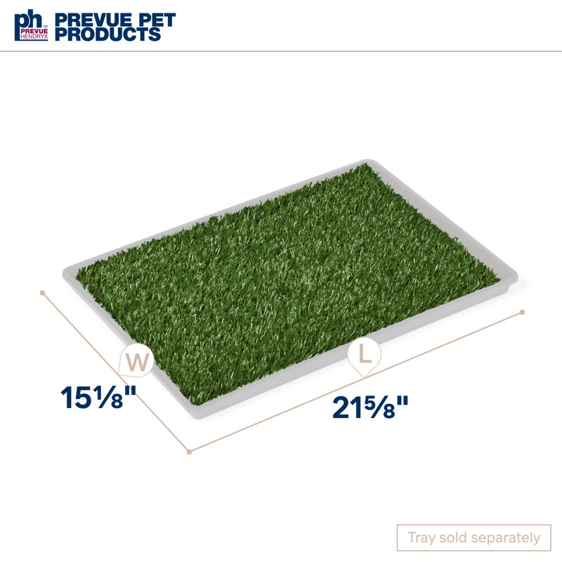 Cieanna Pet Bed, Small (0.5" H x 15.13" W x 21.63" D)