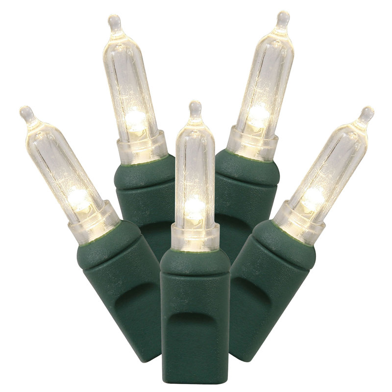 Shelor 300'' String Lights, Red