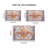 Vintage Bohemian Persian Non-Slip Washable Rug - Living Room & Kitchen Amber Luxury-363896965