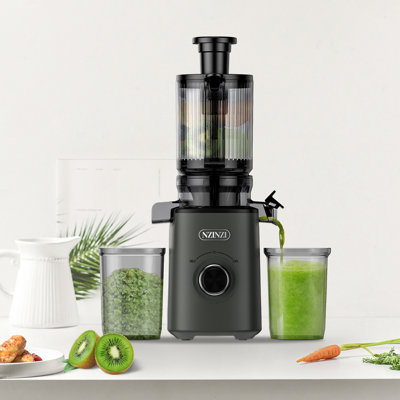 Cold-Press Slow Juicer