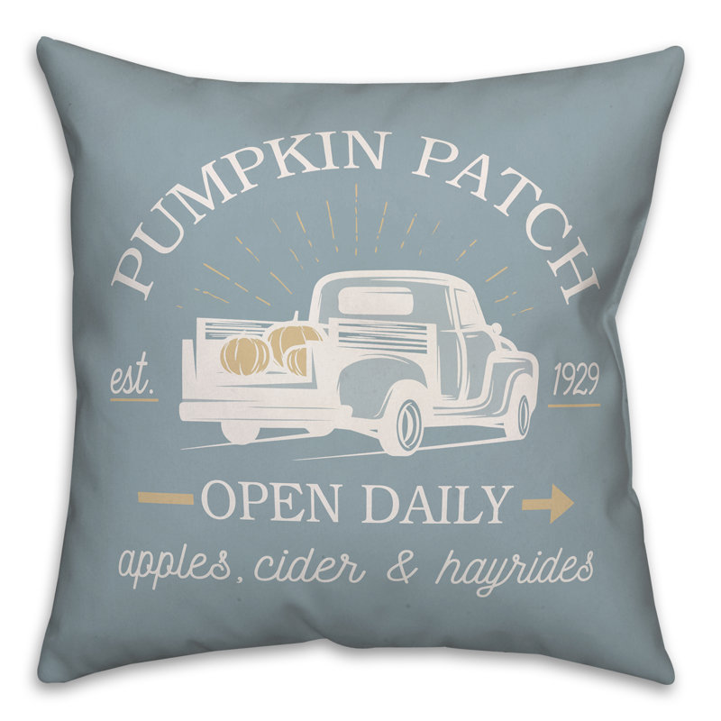 Square Pillow Cover & Insert