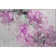 Tapis rose Cerrito AMF520 lavable à la machine de qualité supérieure