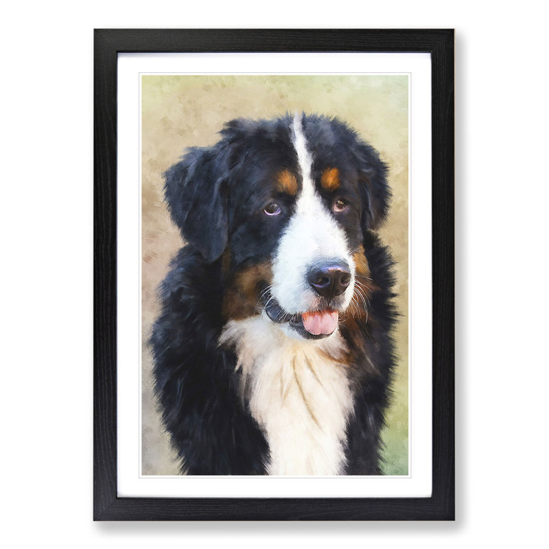 Bermese Mountain Dog - Picture Frame Painting, 65cm H x 48cm W x 2cm D, Black Framed