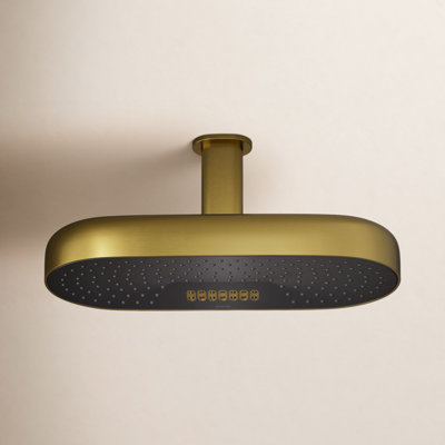 Statement 18" 2.5 GPM Oblong Rainhead