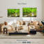 Alvord Smolny Forest Stream-108157739