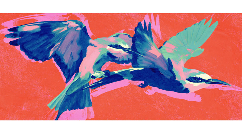 Vibrant Birds in Flight Print, 48 × 32, Matted Framed Print, Gold