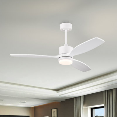 Ventilateur de plafond en bois massif et métal avec éclairage DEL Yerma