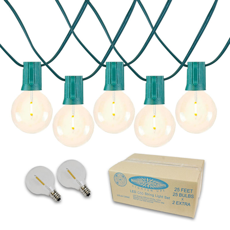 Doyne 25' Outdoor LED 25 - Bulb Globe String Light (End to End Connectable), Brown