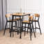 Babrak Counter Stool with Solid Wood Frame-1153966157
