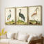 Heron Portrait I - Toile tendue avec châssis sur mesure - 3 pièces-1122106541-1122106543