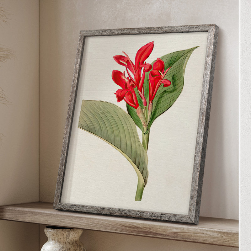 FloraOfTheTropicsIV Framed Print - Solid Wood, 11" H x 9" W