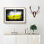 Lone Tree in a Yellow Meadow - Picture Frame Graphic Art Print-56735375-56735374