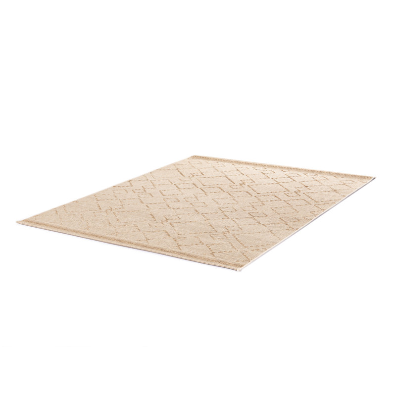 Vose Moroccan Flatweave Indoor / Outdoor Area Rug, Rectangle 120 x 170cm