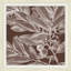 Brown Briar 2 Print