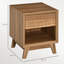 Augustine Modern Bedside Table Nightstand Living Room End Table Walnut Brown