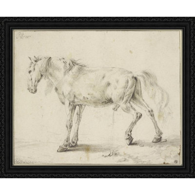 Peeing horse