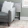 Riceboro Folding Tray Table Set