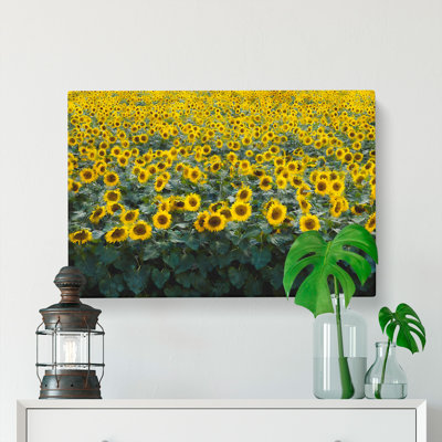 Field Of Yellow Sunflowers - Wrapped Canvas Painting