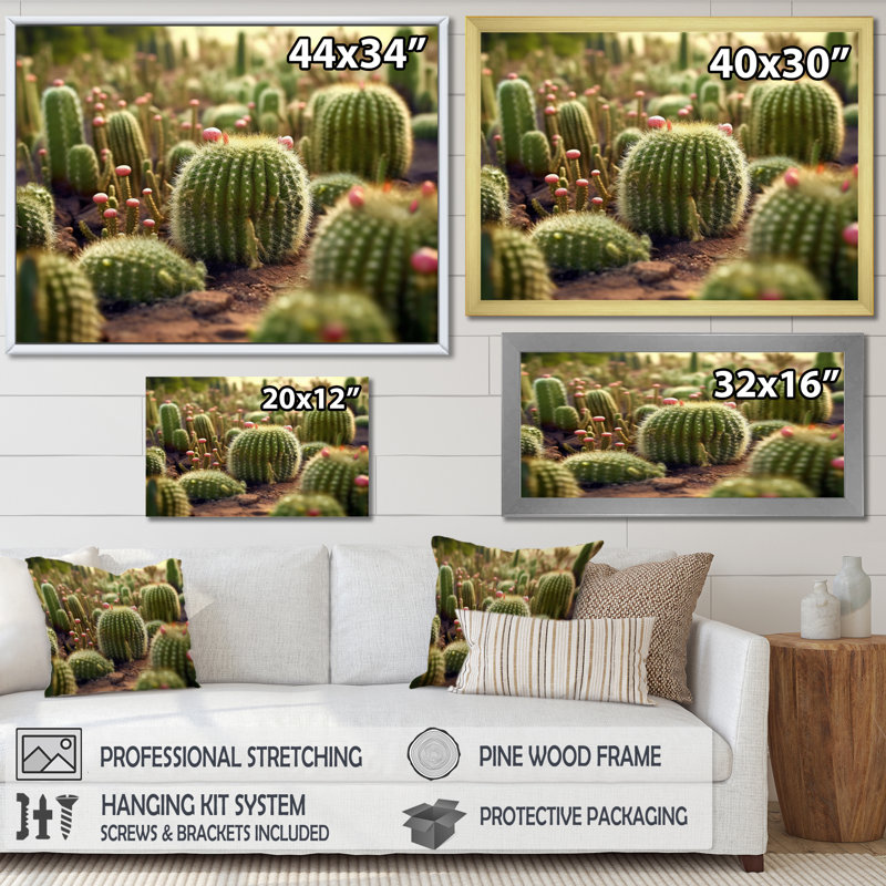 Cactus Perfection Sunrise I sur impression sur toile, Cadre doré à une seule photo, H 24 po x l 32 po x P 1 po
