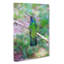Hummingbird Vol.4 - Wrapped Canvas-61854145