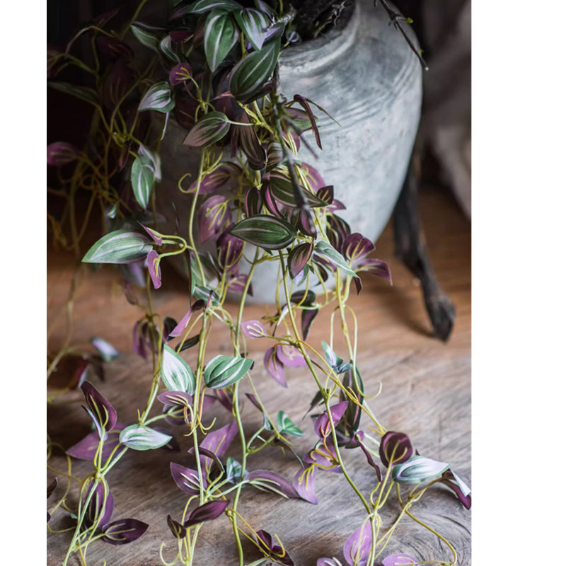 40 plantes, 1