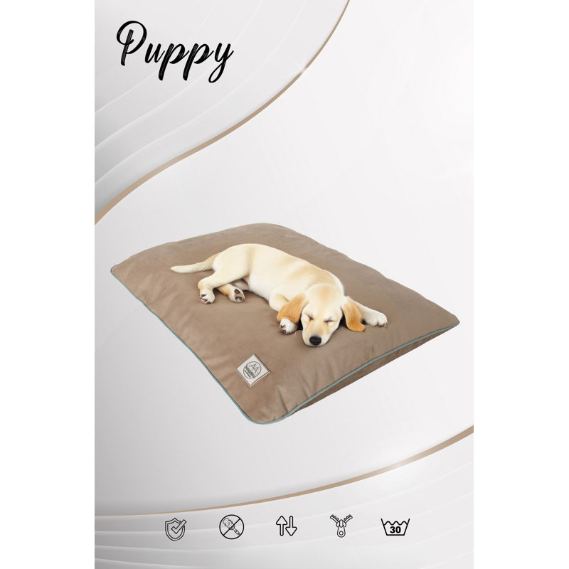Lit pour animal de compagnie, Beige, L 31,5 po x l 19,7 po