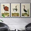 Heron Portrait IV, ensemble de 3 toiles encadrées-97792418-97792414
