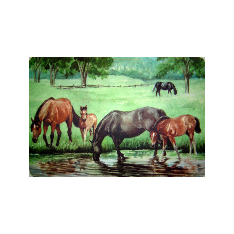 Daneil Non-Slip Indoor Doormat