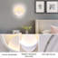 1-Light Led Wall Light Wall Sconce-958884608