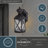 Auda Wall Light