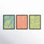 Color Squiggles Print by Jacques Pilon-1274500058-1274500061