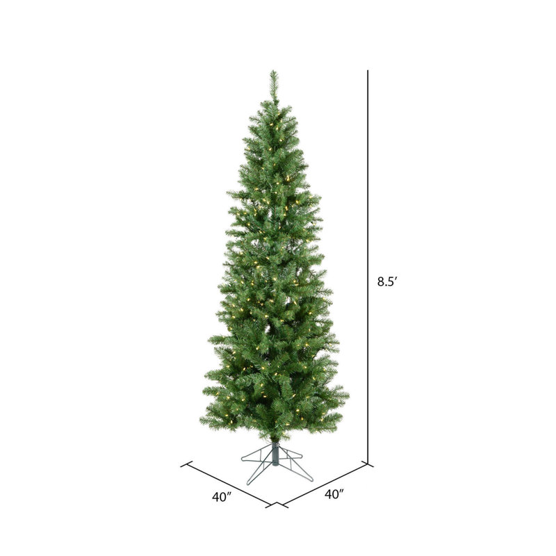 Salem 8.5' H Lighted Artificial Pine Christmas Tree