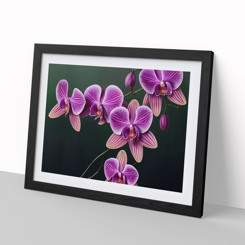 Magnificent Orchid Flowers - Single Picture Frame Print, Black, 46cm H x 64cm W x 2cm D