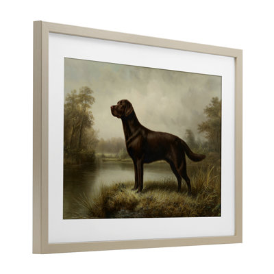 On Alert Chocolate Lab Framed Print Under Glass, design by Petal Prints Design