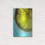 «Lemon Wheel» par Dana Brett Munach-670565671