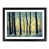 Black Framed