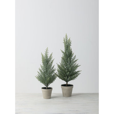 24.5" and 20" Green Christmas Tree Set