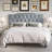 Dshawn Upholstered Panel Bed-589294865-589294869