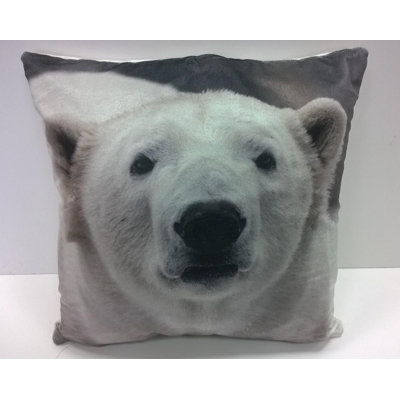 Leoncia Multicolour Square Euro Cushion Cover