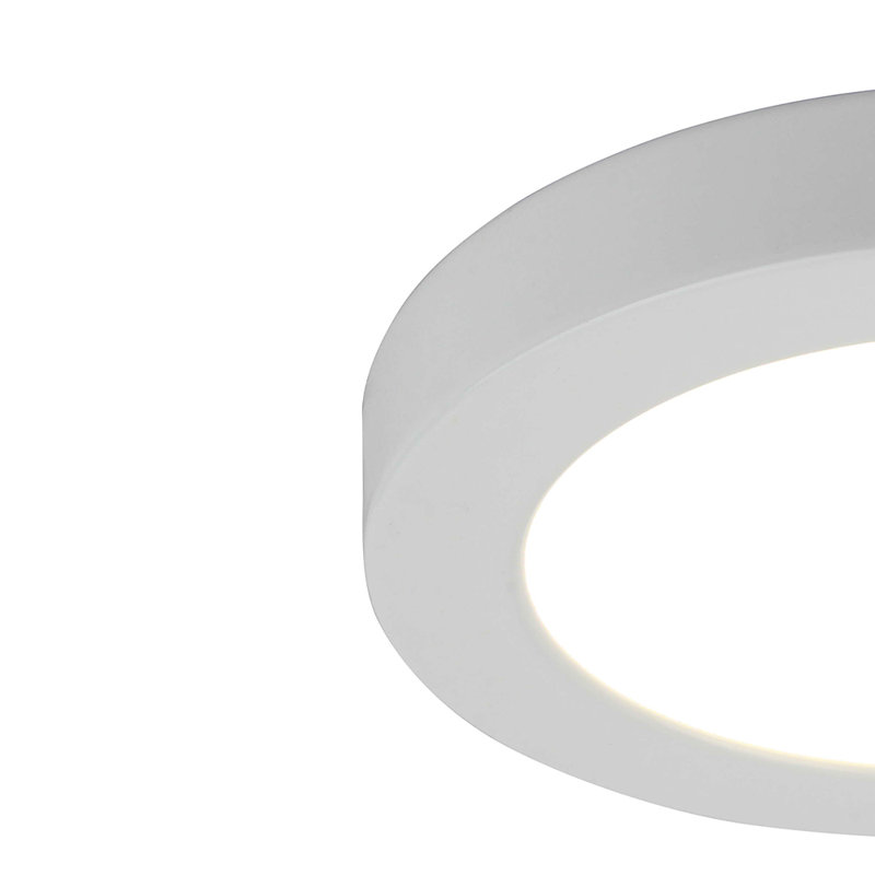 Mitchellville LED Flush Mount